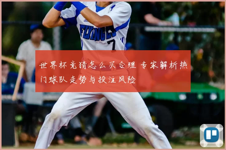 世界杯竞猜怎么买合理 专家解析热门球队走势与投注风险