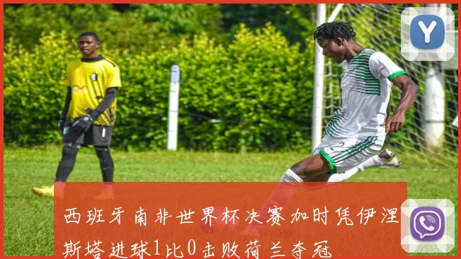 西班牙南非世界杯决赛加时凭伊涅斯塔进球1比0击败荷兰夺冠