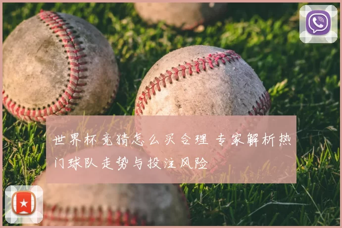 世界杯竞猜怎么买合理 专家解析热门球队走势与投注风险